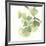 Gingko Leaves II on White-Chris Paschke-Framed Premium Giclee Print