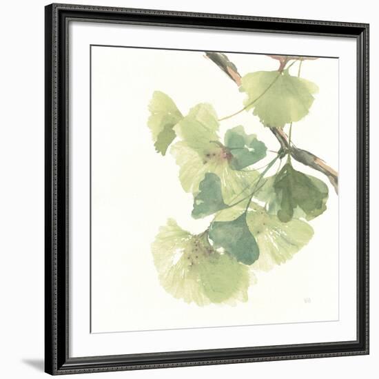 Gingko Leaves II on White-Chris Paschke-Framed Premium Giclee Print