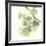 Gingko Leaves II on White-Chris Paschke-Framed Premium Giclee Print