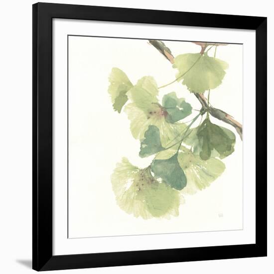 Gingko Leaves II on White-Chris Paschke-Framed Premium Giclee Print