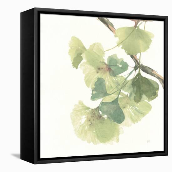 Gingko Leaves II on White-Chris Paschke-Framed Stretched Canvas