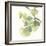 Gingko Leaves II on White-Chris Paschke-Framed Art Print