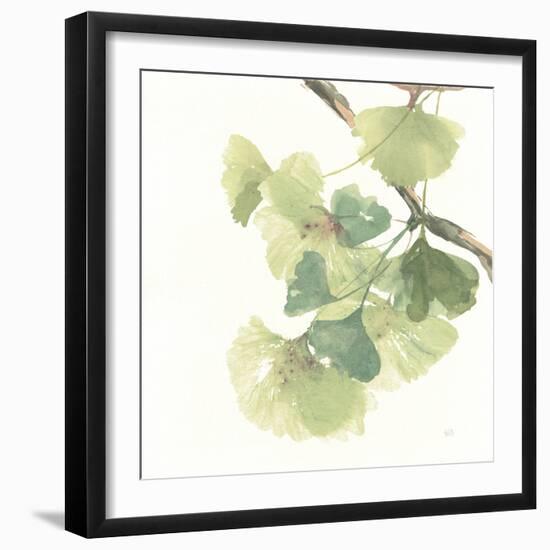 Gingko Leaves II on White-Chris Paschke-Framed Art Print
