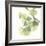 Gingko Leaves II on White-Chris Paschke-Framed Art Print