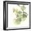 Gingko Leaves II on White-Chris Paschke-Framed Art Print