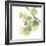 Gingko Leaves II on White-Chris Paschke-Framed Art Print