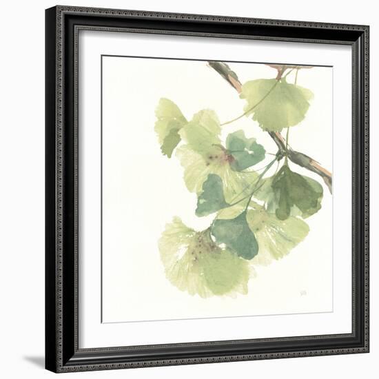 Gingko Leaves II on White-Chris Paschke-Framed Art Print