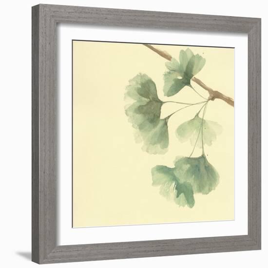 Gingko Leaves III-Chris Paschke-Framed Art Print