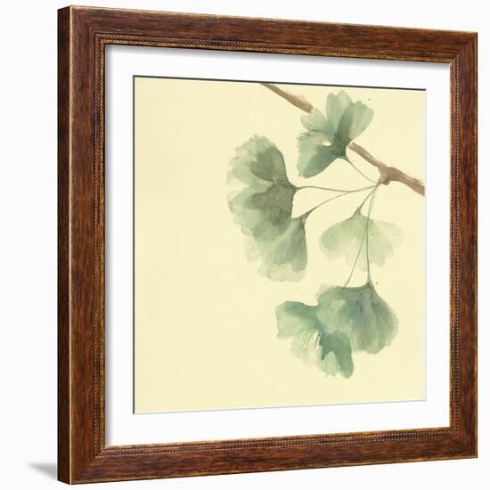 Gingko Leaves III-Chris Paschke-Framed Art Print