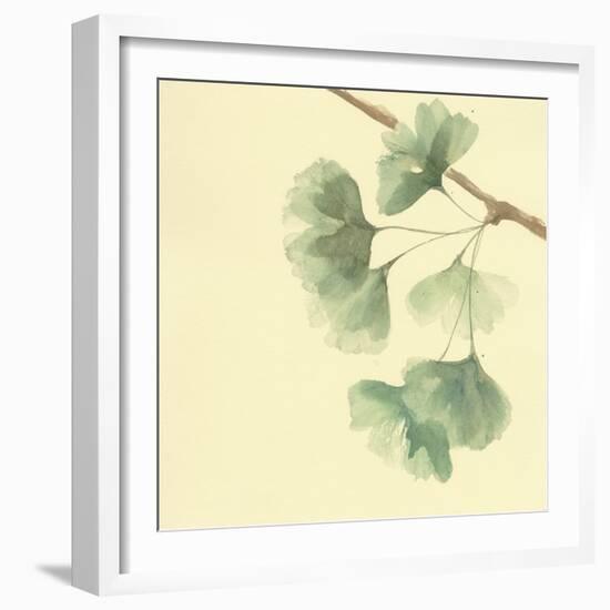 Gingko Leaves III-Chris Paschke-Framed Art Print