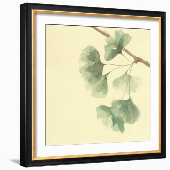 Gingko Leaves III-Chris Paschke-Framed Art Print