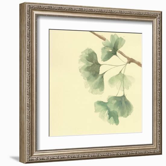 Gingko Leaves III-Chris Paschke-Framed Art Print