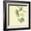 Gingko Leaves III-Chris Paschke-Framed Art Print