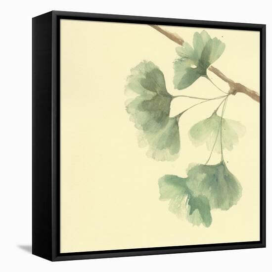 Gingko Leaves III-Chris Paschke-Framed Stretched Canvas