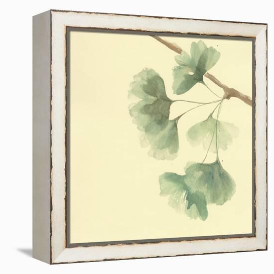 Gingko Leaves III-Chris Paschke-Framed Stretched Canvas