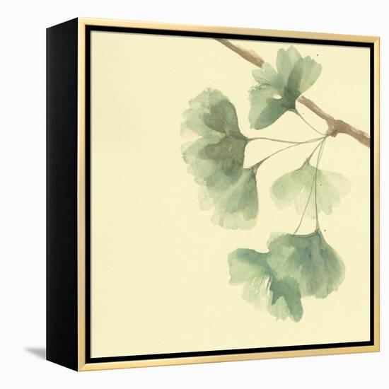 Gingko Leaves III-Chris Paschke-Framed Stretched Canvas