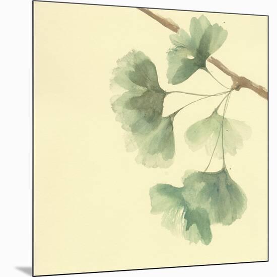 Gingko Leaves III-Chris Paschke-Mounted Art Print