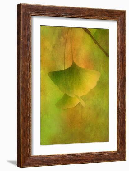 Gingko Love-Philippe Sainte-Laudy-Framed Photographic Print