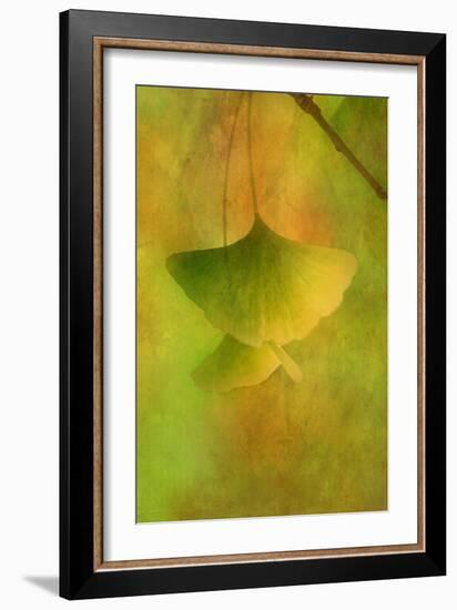 Gingko Love-Philippe Sainte-Laudy-Framed Photographic Print