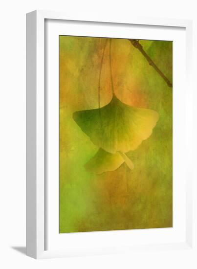 Gingko Love-Philippe Sainte-Laudy-Framed Photographic Print