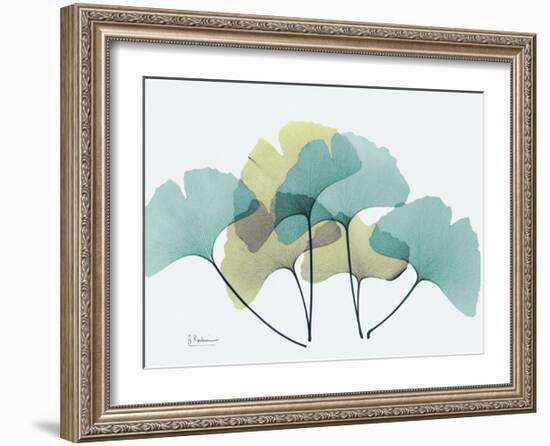 Gingko-Albert Koetsier-Framed Art Print