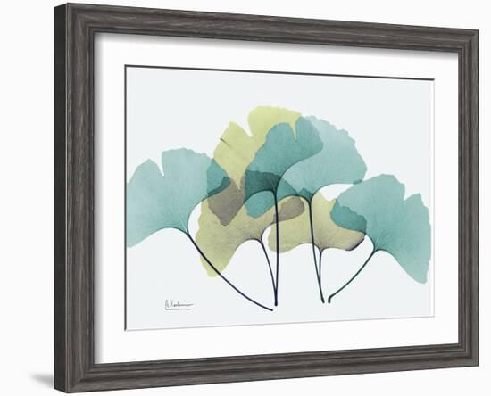 Gingko-Albert Koetsier-Framed Art Print