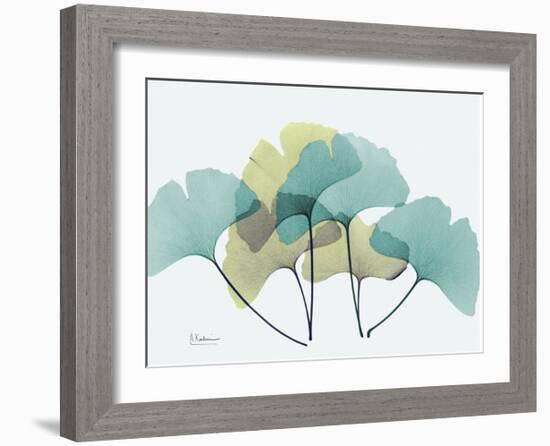 Gingko-Albert Koetsier-Framed Art Print