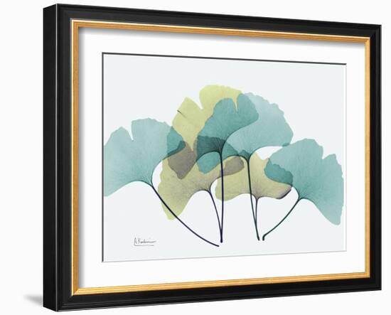 Gingko-Albert Koetsier-Framed Art Print