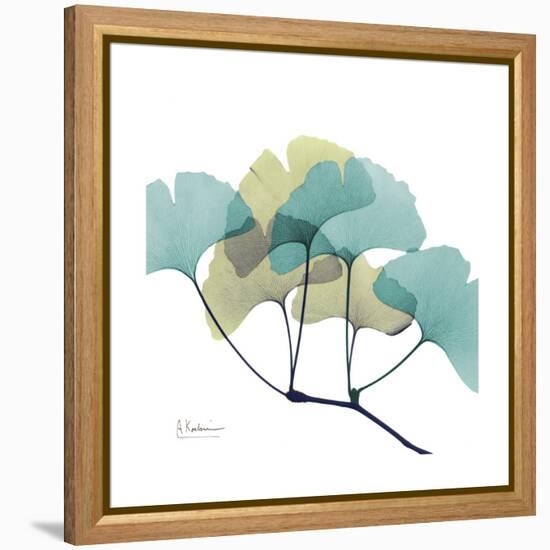 Gingko-Albert Koetsier-Framed Stretched Canvas