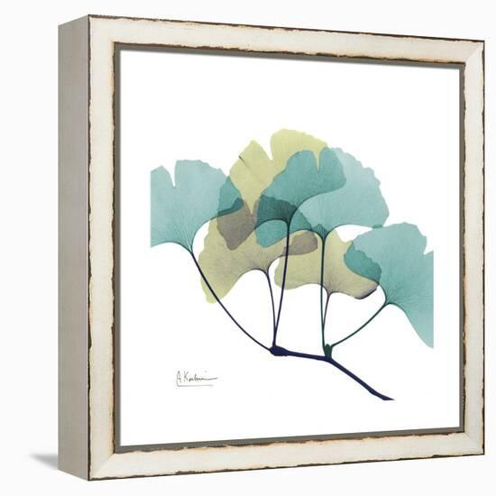 Gingko-Albert Koetsier-Framed Stretched Canvas