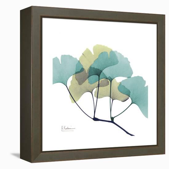 Gingko-Albert Koetsier-Framed Stretched Canvas