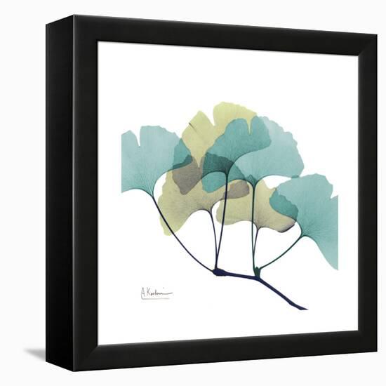 Gingko-Albert Koetsier-Framed Stretched Canvas