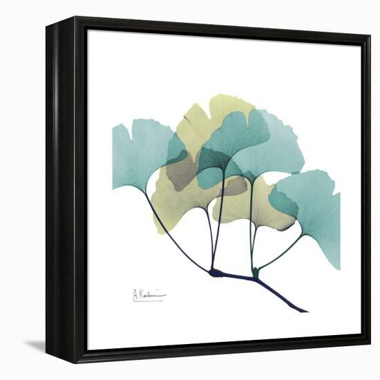 Gingko-Albert Koetsier-Framed Stretched Canvas