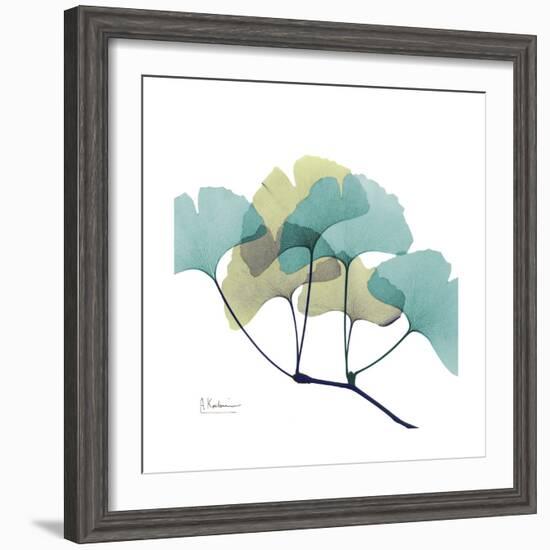 Gingko-Albert Koetsier-Framed Premium Giclee Print