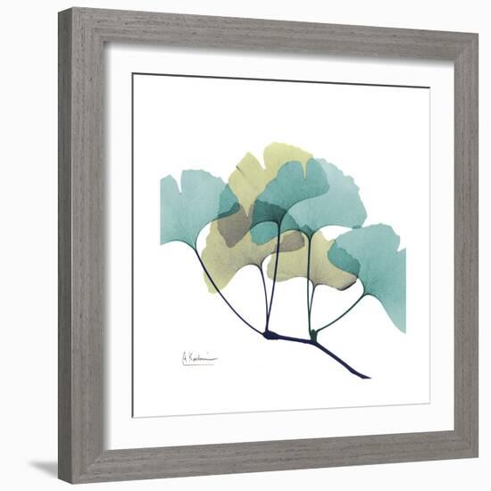 Gingko-Albert Koetsier-Framed Premium Giclee Print