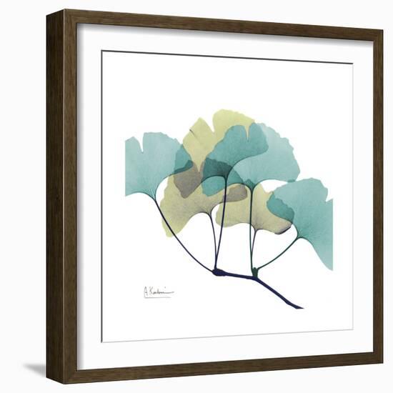 Gingko-Albert Koetsier-Framed Premium Giclee Print