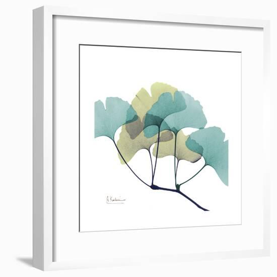 Gingko-Albert Koetsier-Framed Premium Giclee Print