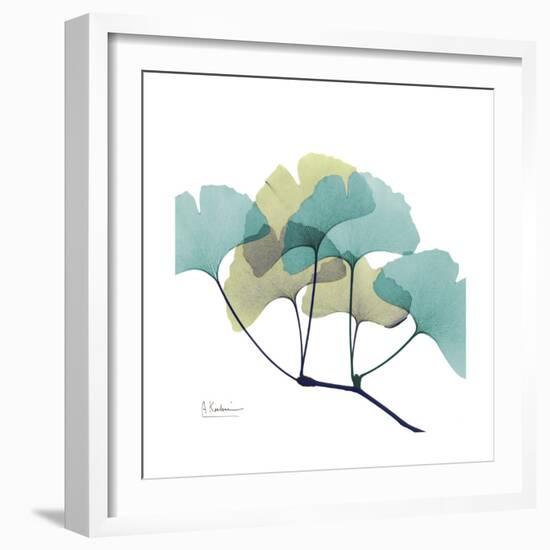 Gingko-Albert Koetsier-Framed Premium Giclee Print