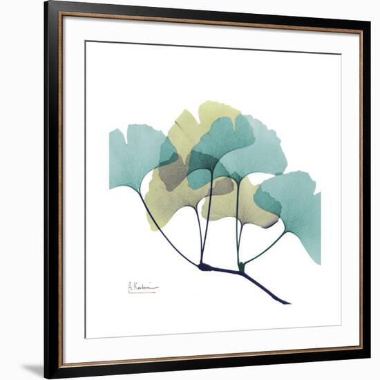 Gingko-Albert Koetsier-Framed Premium Giclee Print