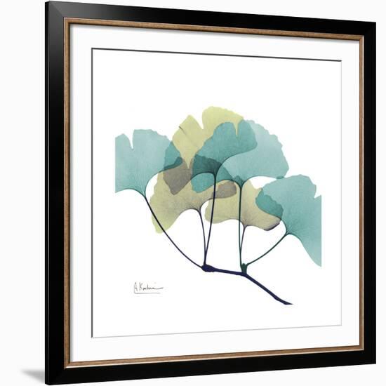 Gingko-Albert Koetsier-Framed Premium Giclee Print