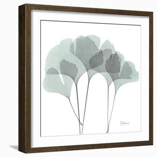 Gingko-Albert Koetsier-Framed Photographic Print