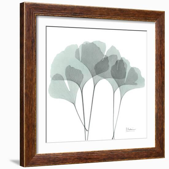 Gingko-Albert Koetsier-Framed Photographic Print