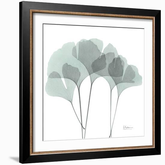 Gingko-Albert Koetsier-Framed Photographic Print