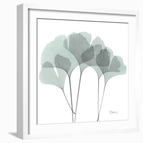 Gingko-Albert Koetsier-Framed Photographic Print