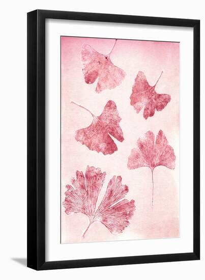 Ginkgo 4 Sorbet-Pernille Folcarelli-Framed Art Print