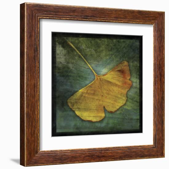 Ginkgo III-John Golden-Framed Art Print