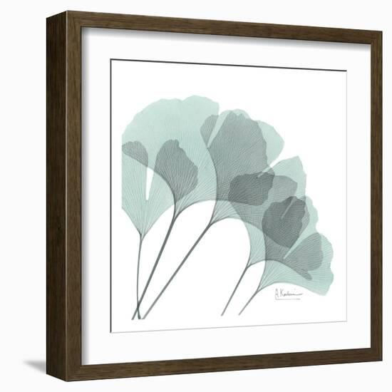 Ginkgo in Pale Blue II-Albert Koetsier-Framed Art Print