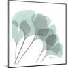 Ginkgo in Pale Blue II-Albert Koetsier-Mounted Art Print