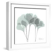 Ginkgo in Pale Blue-Albert Koetsier-Framed Art Print