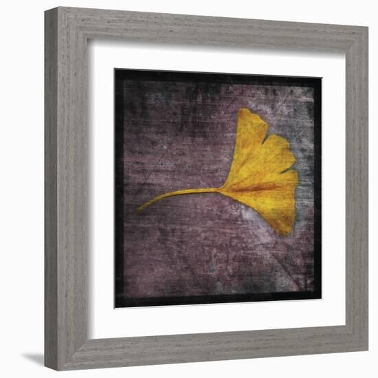 Ginkgo IV-John Golden-Framed Art Print